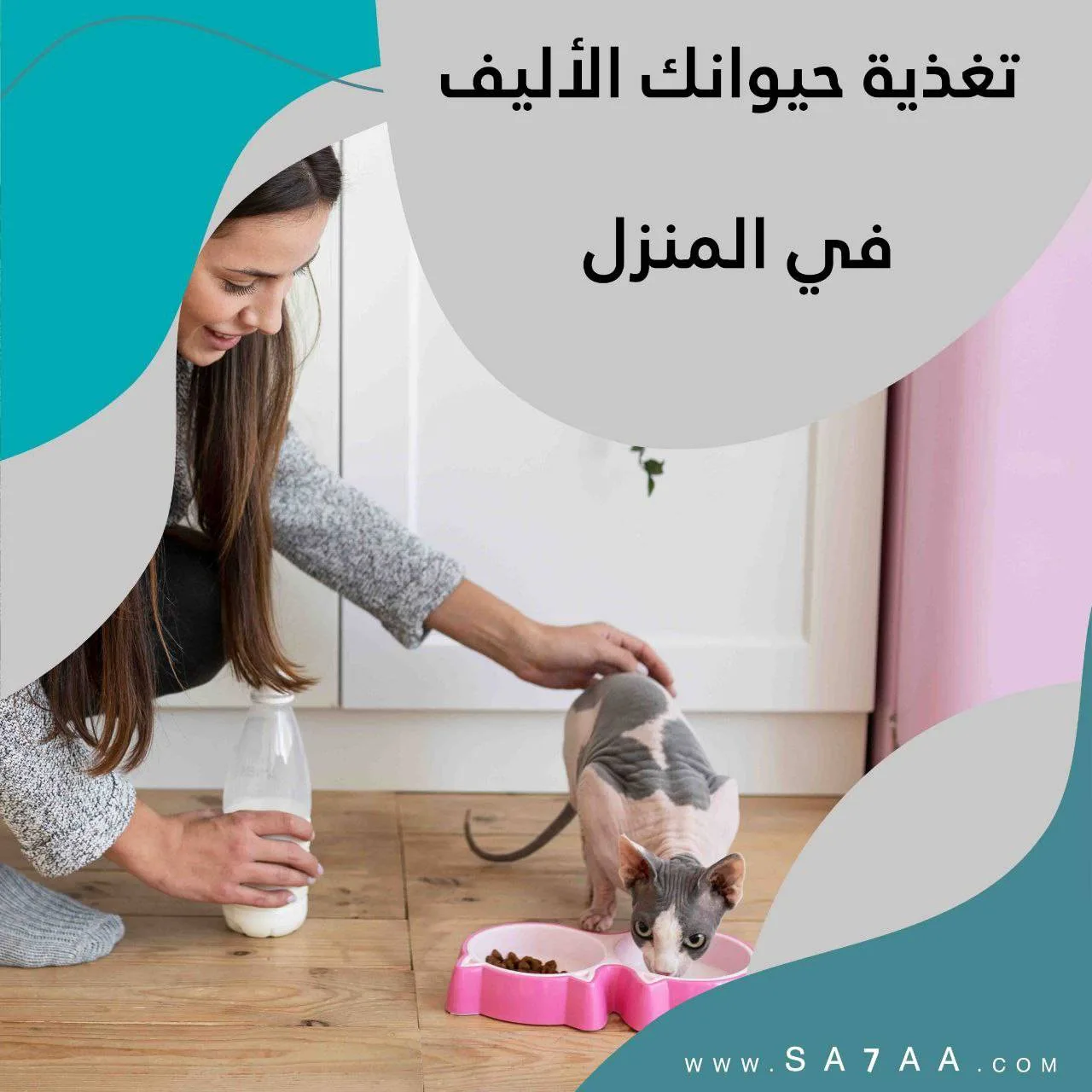 تغذية حيوانك الأليف في المنزل.